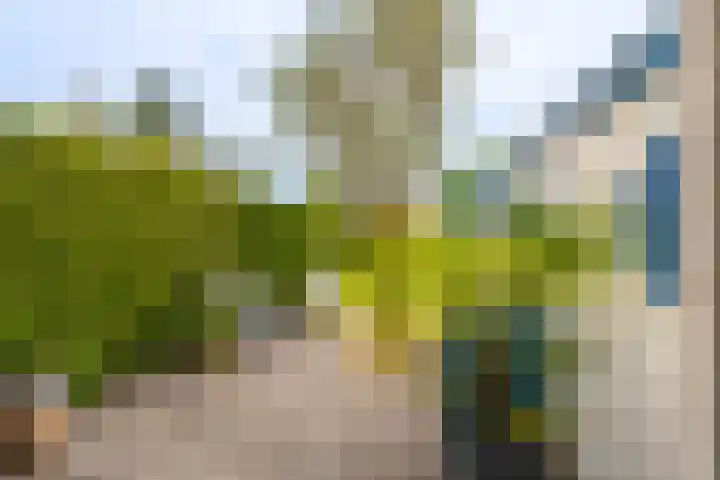 Hoofdweg 117 Kolham thumbnail 33