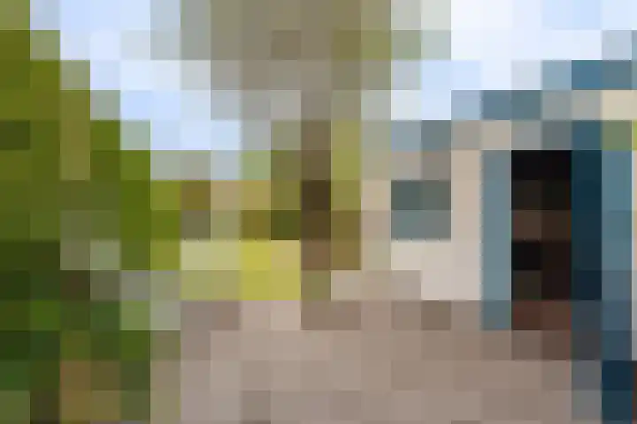 Hoofdweg 117 Kolham thumbnail 34