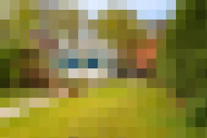 Hoofdweg 117 Kolham thumbnail 37