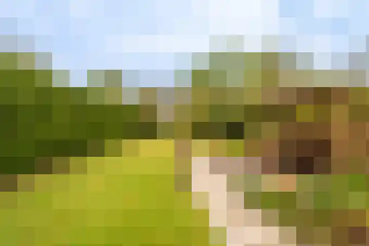 Hoofdweg 117 Kolham thumbnail 39
