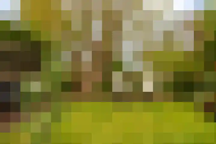 Hoofdweg 117 Kolham thumbnail 40