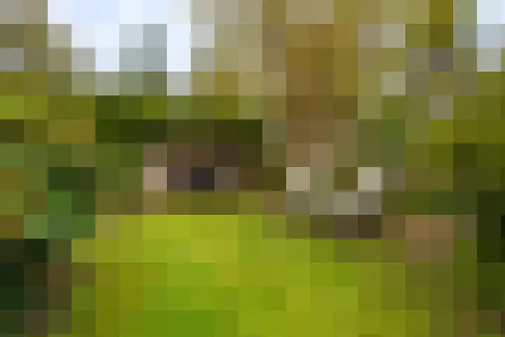 Hoofdweg 117 Kolham thumbnail 41