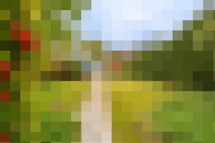 Hoofdweg 117 Kolham thumbnail 43