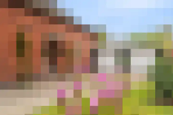 Hoofdweg 117 Kolham thumbnail 8