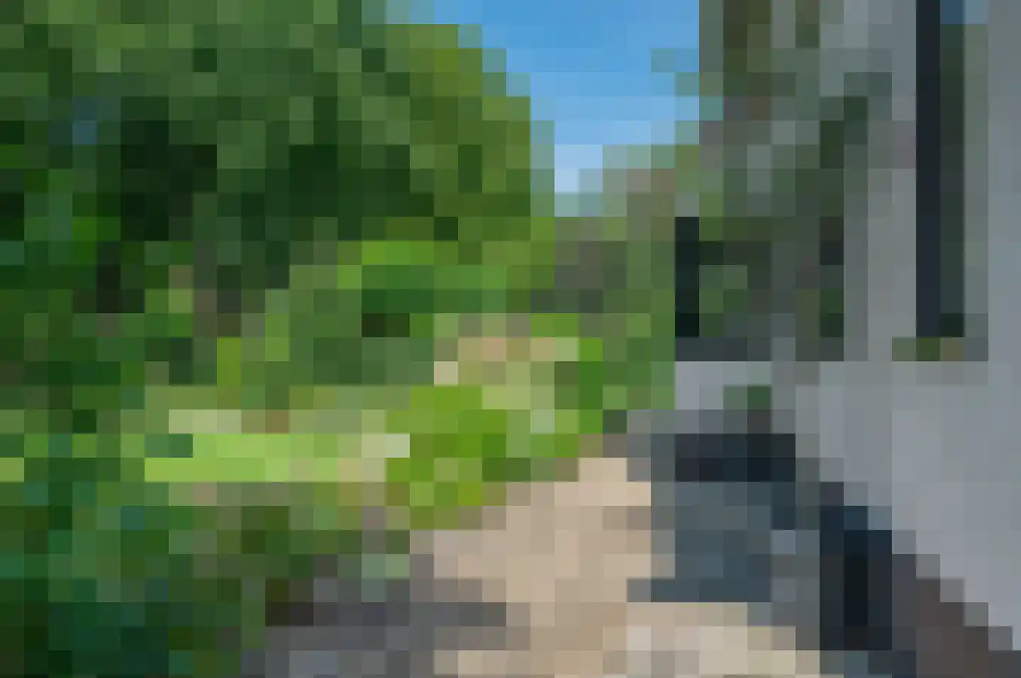 Hoofdweg 122 Bellingwolde thumbnail 65