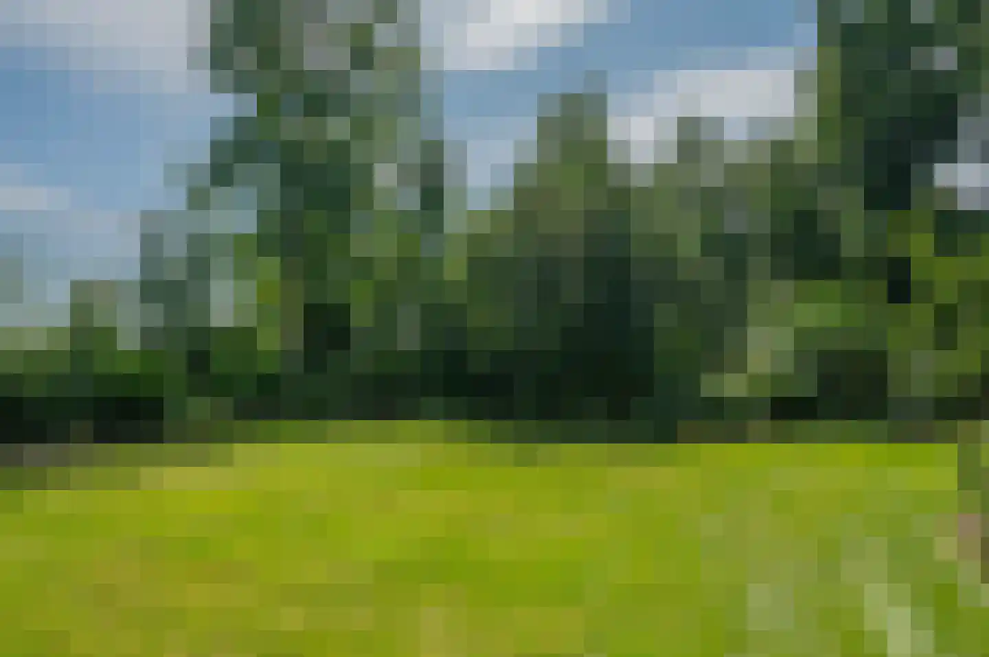 Hoofdweg 122 Bellingwolde thumbnail 68