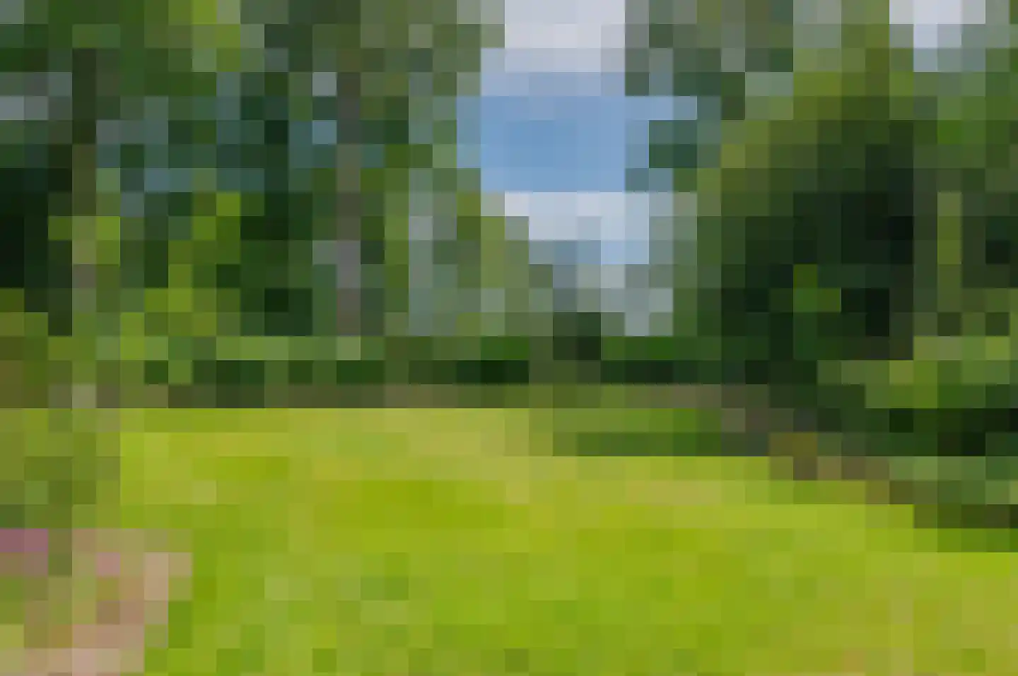 Hoofdweg 122 Bellingwolde thumbnail 69