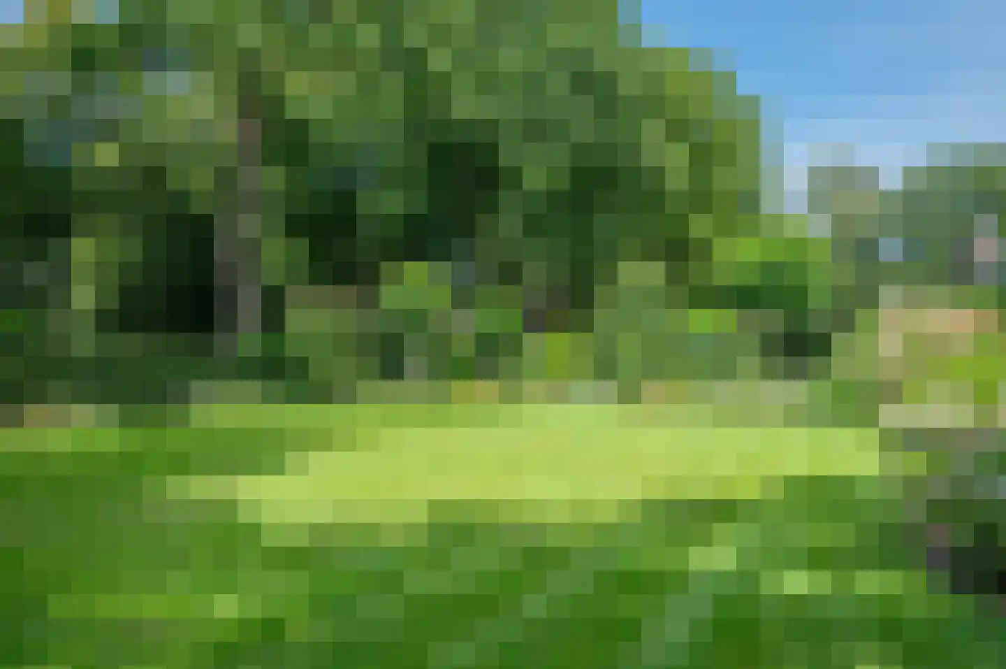 Hoofdweg 122 Bellingwolde thumbnail 70