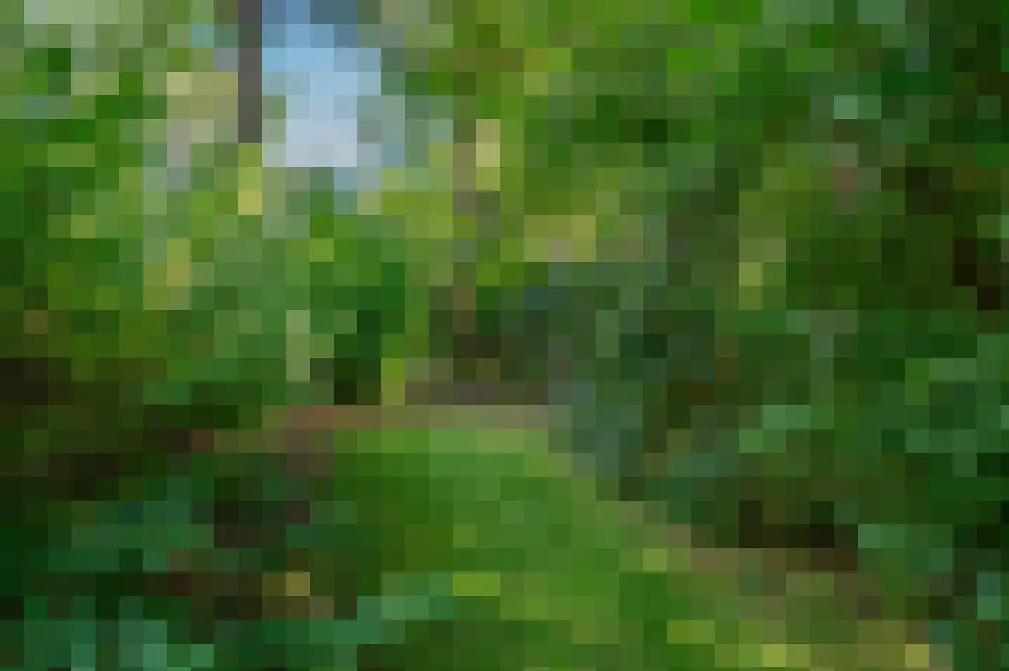 Hoofdweg 122 Bellingwolde thumbnail 71