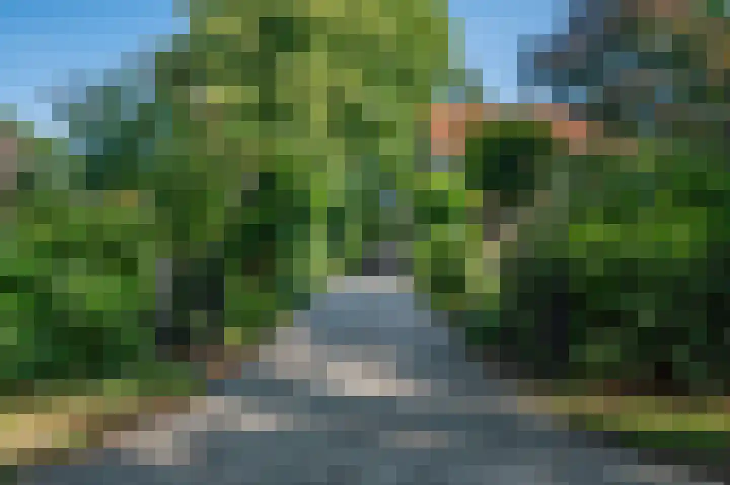 Hoofdweg 122 Bellingwolde thumbnail 74