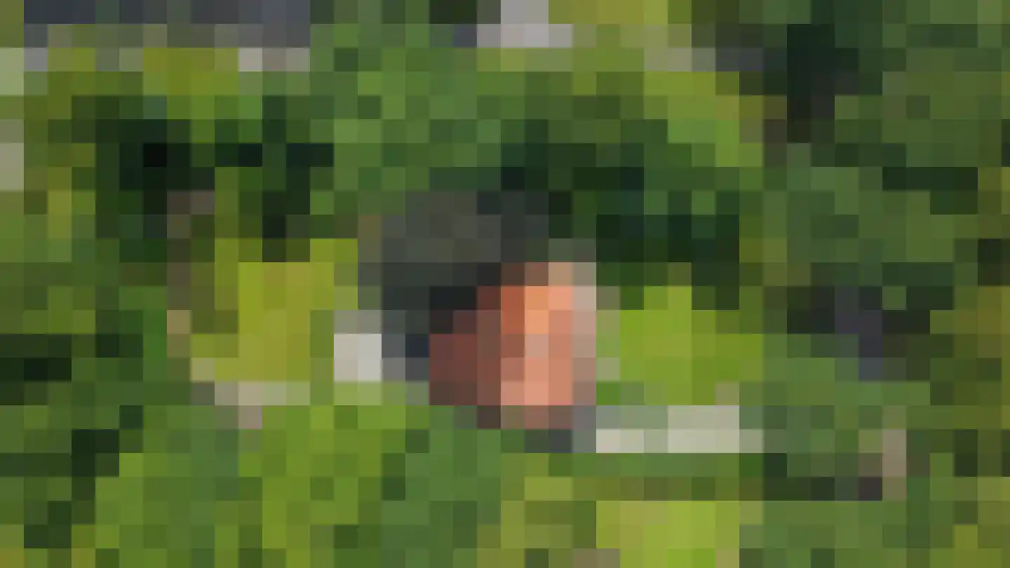 Hoofdweg 122 Bellingwolde thumbnail 75