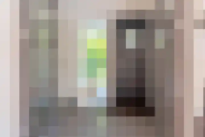 Hoofdweg 124 Eelde thumbnail 10