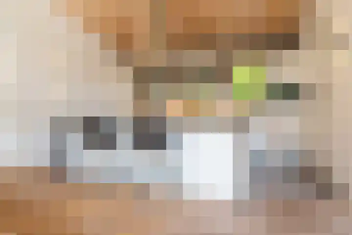 Hoofdweg 124 Eelde thumbnail 23