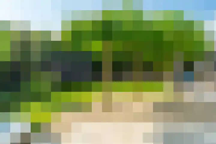 Hoofdweg 124 Eelde thumbnail 4