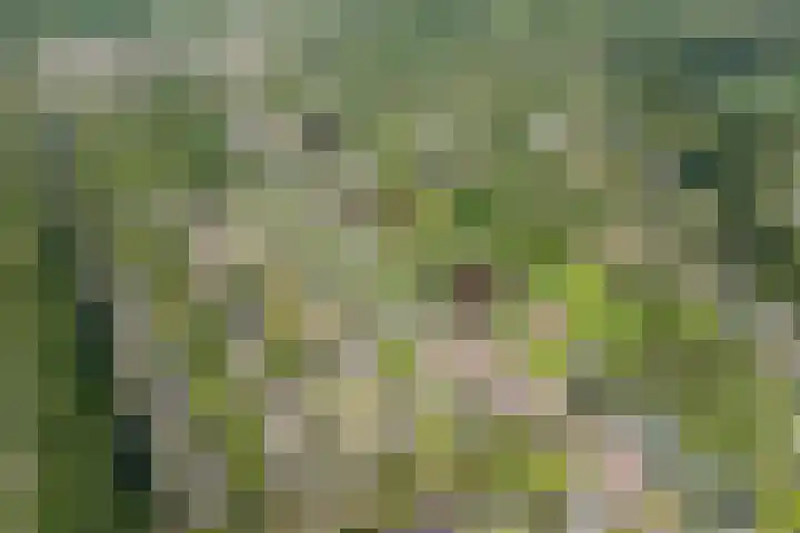 Hoofdweg 124 Eelde thumbnail 56