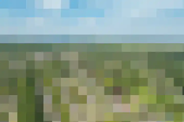 Hoofdweg 124 Eelde thumbnail 58