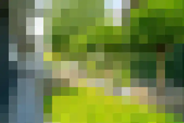 Hoofdweg 124 Eelde thumbnail 8