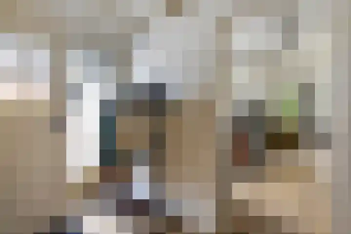 Hoofdweg 130 Bovensmilde thumbnail 13