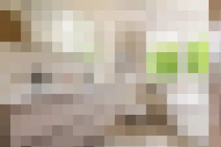 Hoofdweg 130 Bovensmilde thumbnail 35
