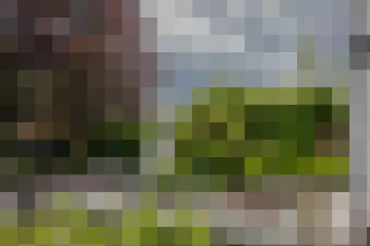 Hoofdweg 130 Bovensmilde thumbnail 40