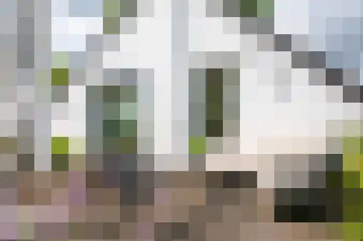 Hoofdweg 130 Bovensmilde thumbnail 42