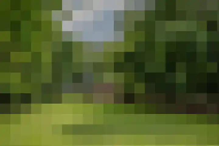 Hoofdweg 130 Bovensmilde thumbnail 53