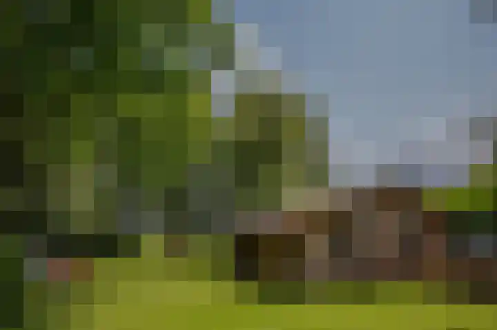 Hoofdweg 130 Bovensmilde thumbnail 54