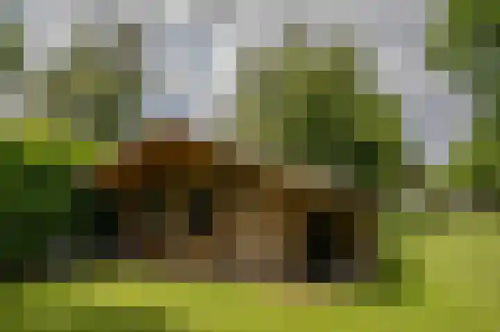 Hoofdweg 130 Bovensmilde thumbnail 57