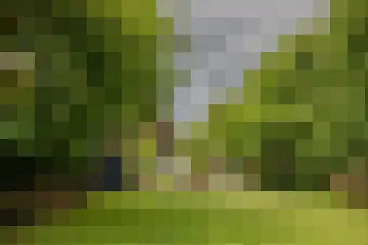 Hoofdweg 130 Bovensmilde thumbnail 65