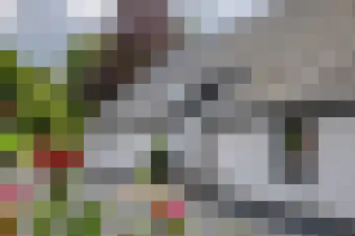 Hoofdweg 130 Bovensmilde thumbnail 7