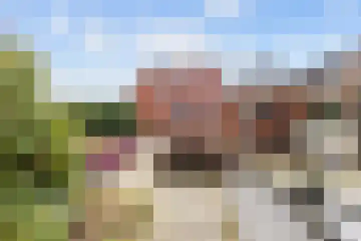 Hoofdweg 176 Schildwolde thumbnail 43
