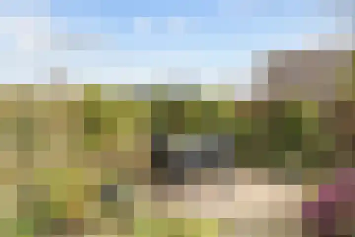 Hoofdweg 176 Schildwolde thumbnail 45