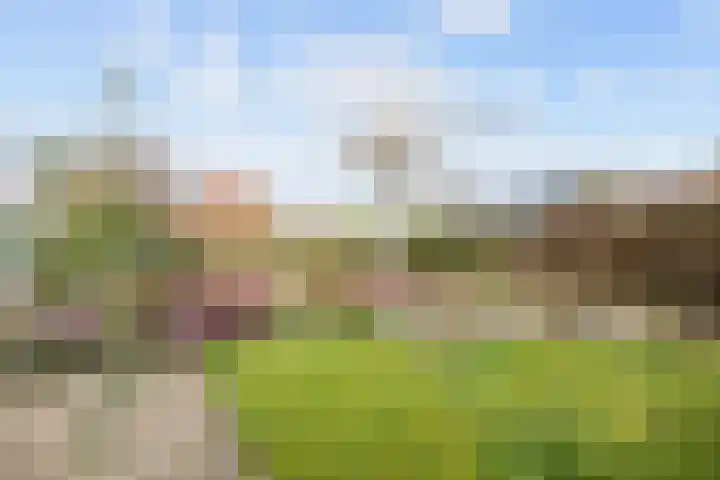Hoofdweg 176 Schildwolde thumbnail 51