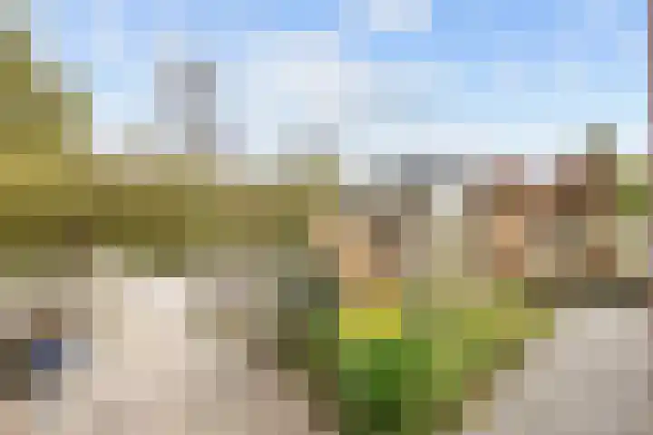 Hoofdweg 176 Schildwolde thumbnail 54