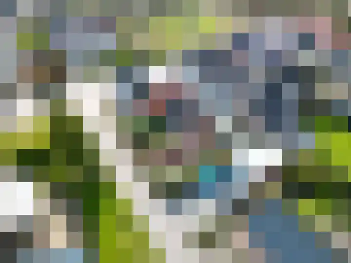 Hoofdweg 176 Schildwolde thumbnail 60