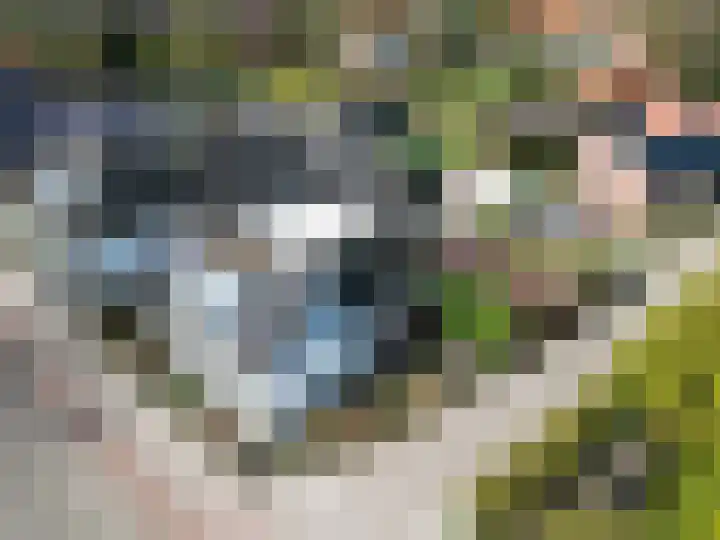 Hoofdweg 176 Schildwolde thumbnail 62