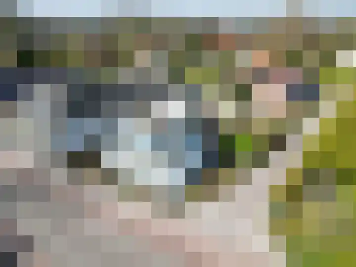 Hoofdweg 176 Schildwolde thumbnail 63
