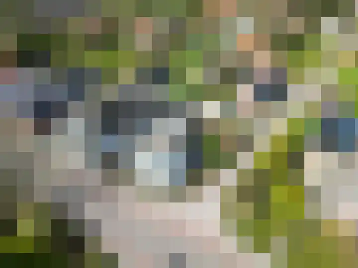 Hoofdweg 176 Schildwolde thumbnail 64