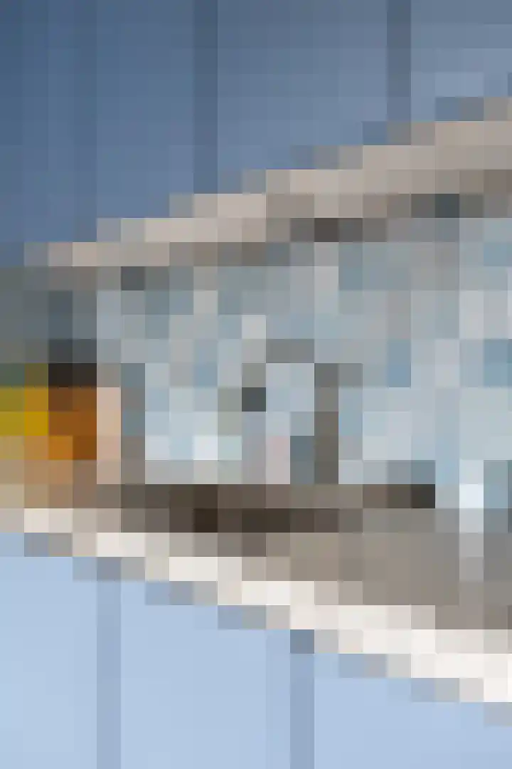 Hoofdweg 176 Schildwolde thumbnail 9