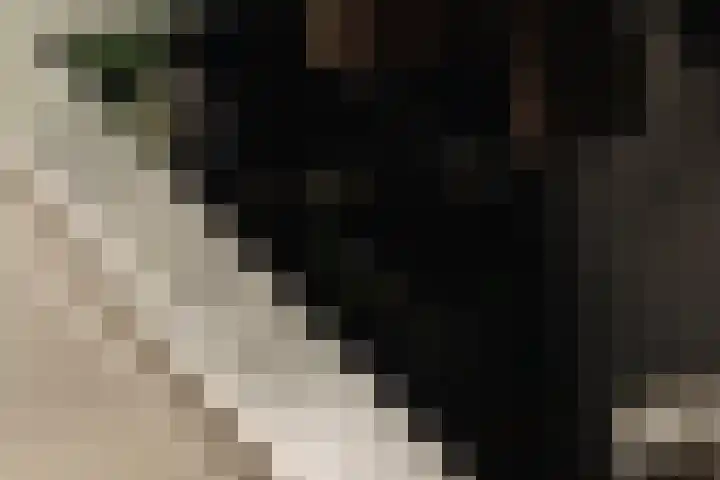 Hoofdweg 20 Amsterdam thumbnail 16