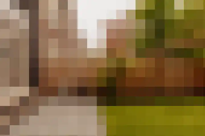 Hoofdweg 20 Amsterdam thumbnail 19
