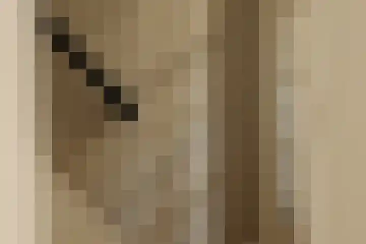 Hoofdweg 20 Amsterdam thumbnail 22