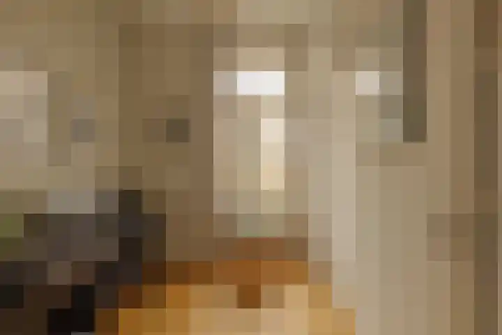 Hoofdweg 20 Amsterdam thumbnail 33