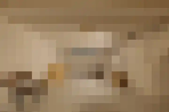 Hoofdweg 20 Amsterdam thumbnail 52