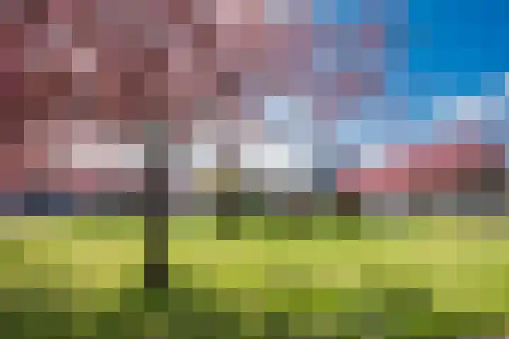 Hoofdweg 20 Amsterdam thumbnail 57