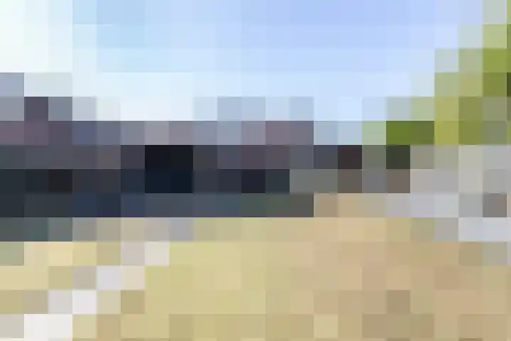 Hoofdweg 203 Westerlee thumbnail 45