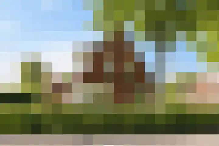 Hoofdweg 207 Schildwolde thumbnail 10