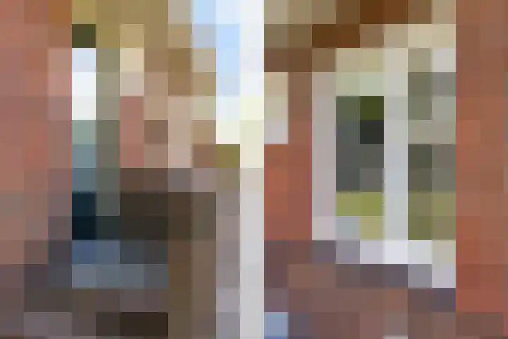 Hoofdweg 207 Schildwolde thumbnail 11