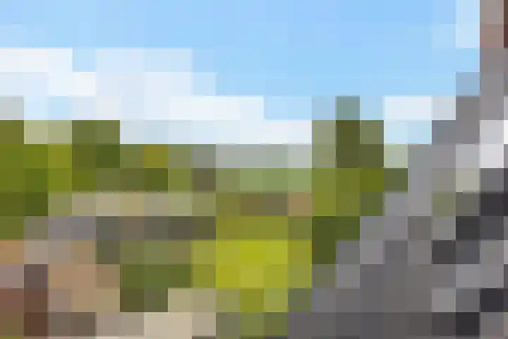 Hoofdweg 207 Schildwolde thumbnail 12