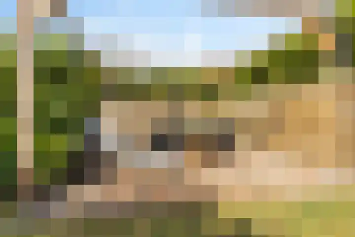 Hoofdweg 207 Schildwolde thumbnail 15